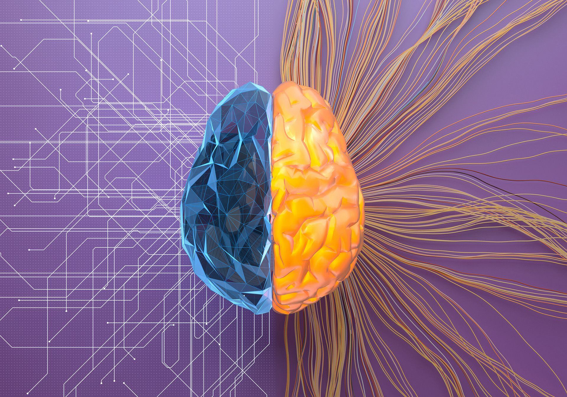 cerebro, sinapsis, actividad neuronal, neuronas