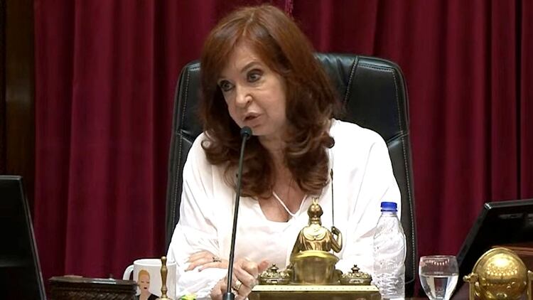 La vicepresidenta Cristina Kirchner