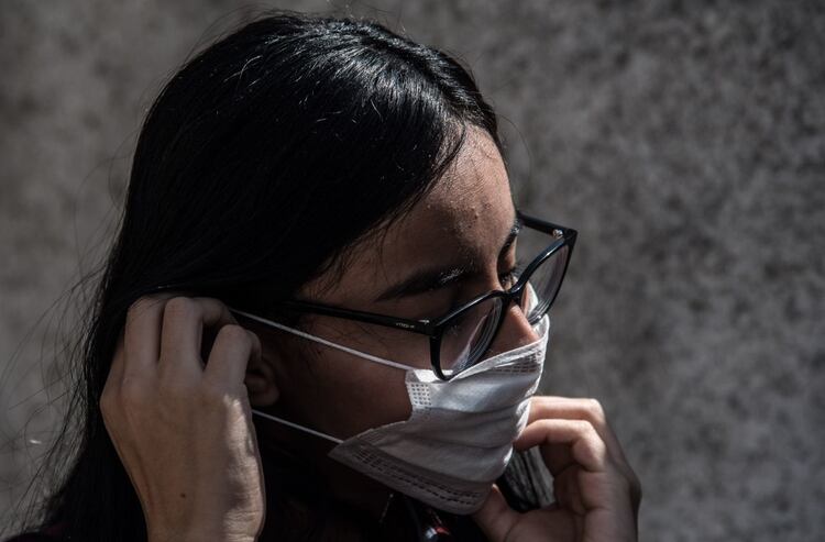 La investigadora del Instituto de Biotecnología (IBt), Laura Alicia Palomares Aguilera, explicó que los laboratorios de la UNAM 