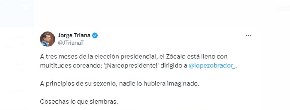 Las manifestaciones en México, bajo el lema de una “marcha por la democracia”, atrajeron la atención de la población local e internacional - crédito @JTriana/X