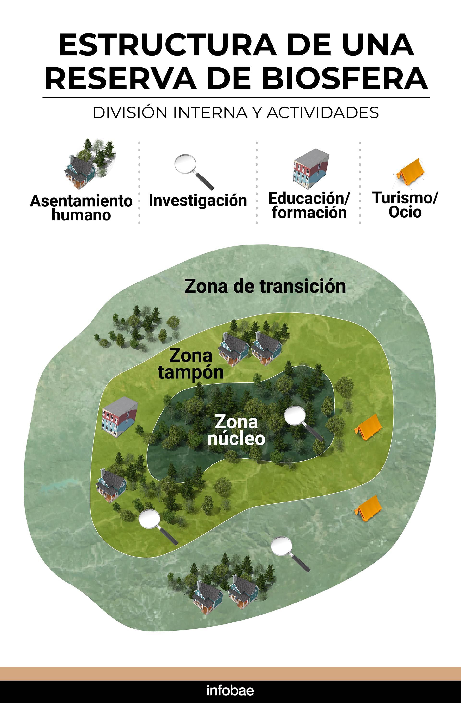 infografia