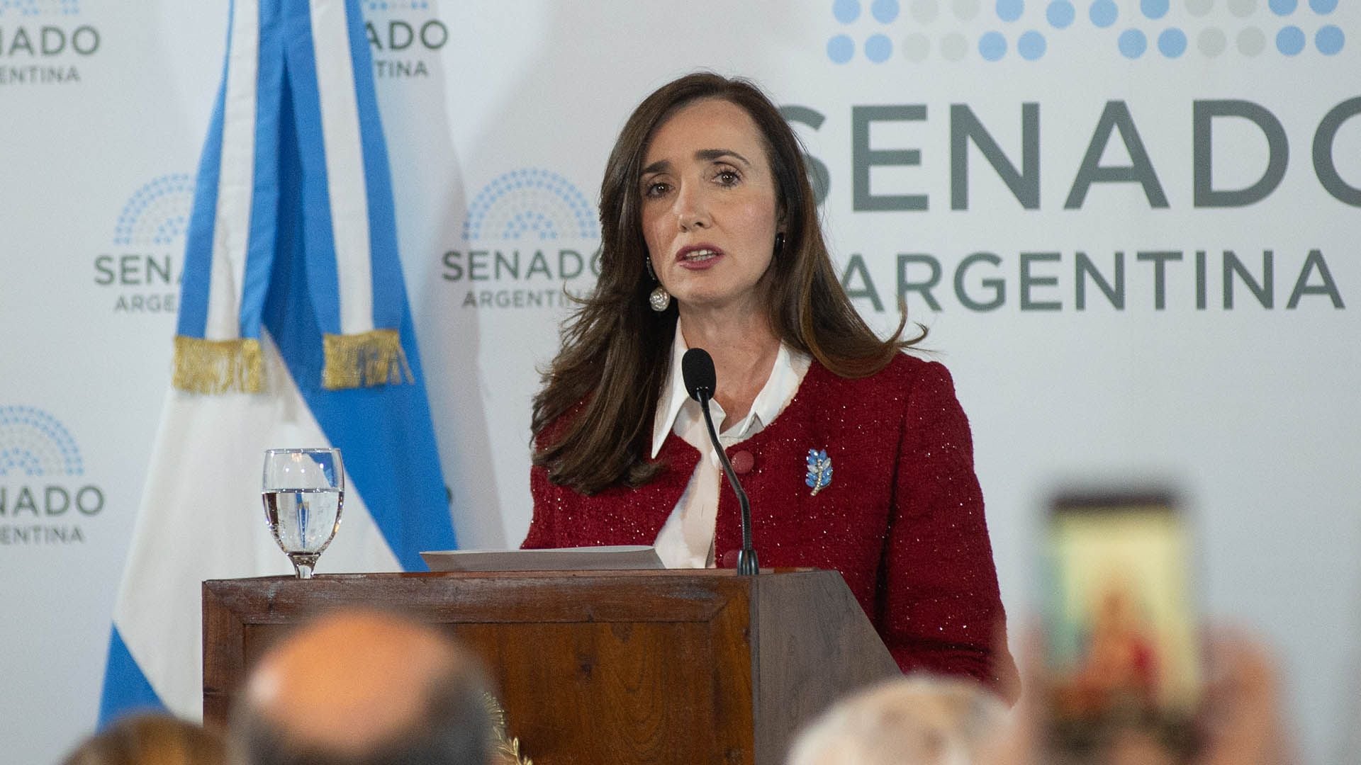 La titular del Senado, Victoria Villarruel (Jaime Olivos)