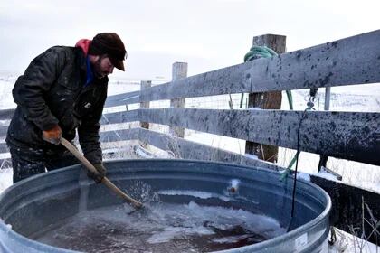 Tyson Ropp usa un hacha para cortar varios centímetros de hielo en un tanque de almacenamiento en el rancho Double Cross Cattle Company, al sur de Roberts, Montana. Se esperaba que el frío durara varios días más. (Foto AP/Matthew Brown)