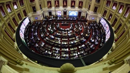 Una panorámica de la sesión de Diputados en que se dio media sanción al impuesto (Adrián Escandar)