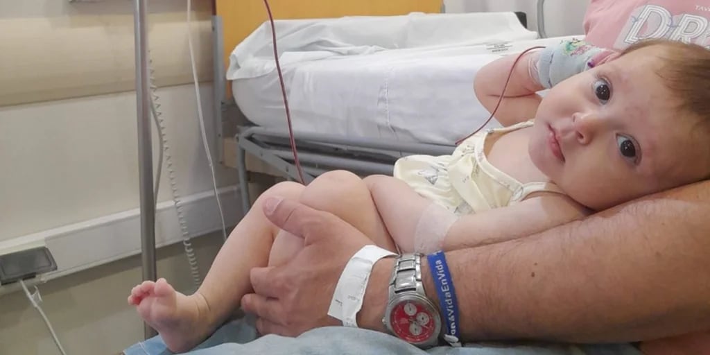 Su hijo de 5 años murió de leucemia y ahora buscan un donante de médula ósea  para su beba de 8 meses - Infobae