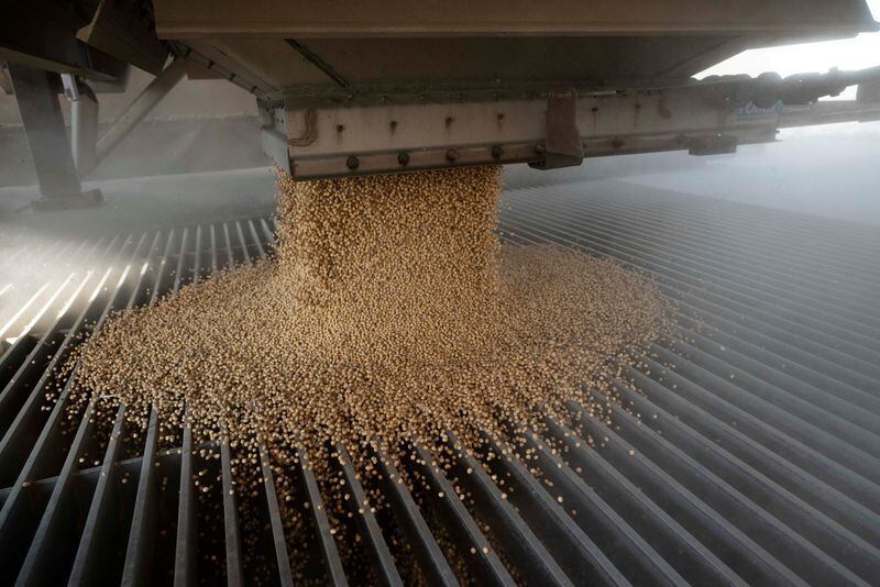 Descarga de soja, el principal cultivo de exportación de la Argentina: como poroto, como harina y como aceite
REUTERS/Dane Rhys/Archivo