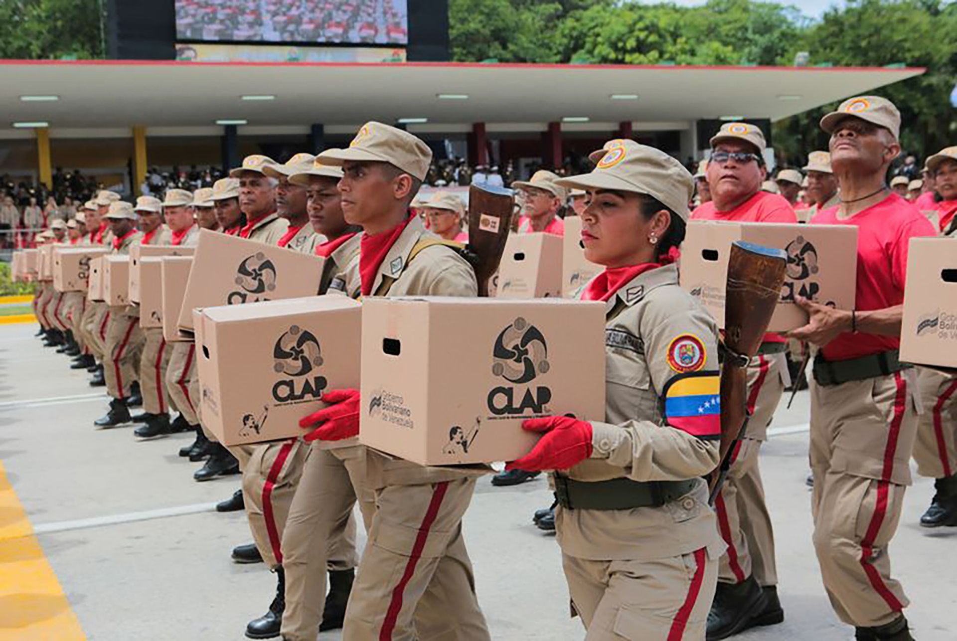 Los Cardenales no ceden terreno en el béisbol venezolano