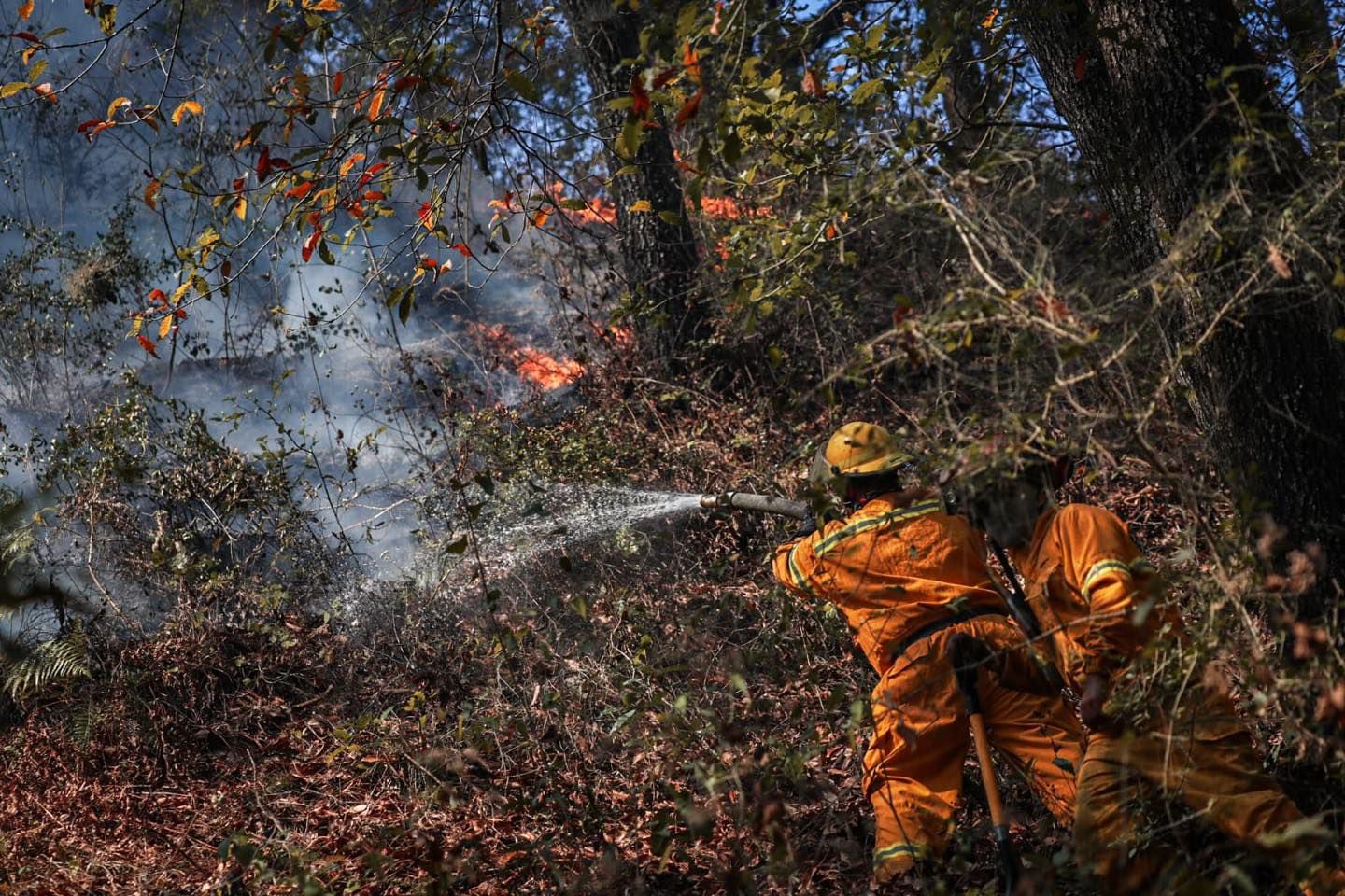 Incendio boschivo, Santiago, Nuevo León