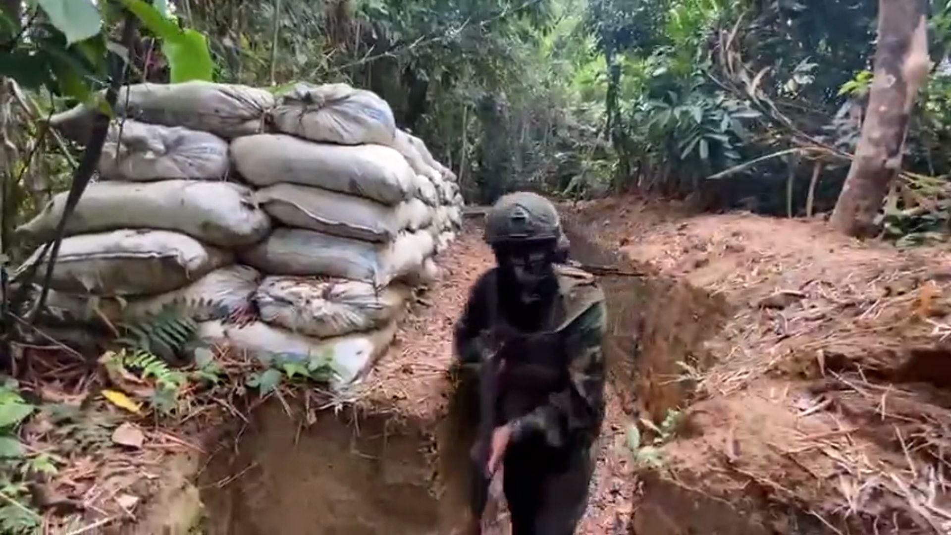 As Forças Armadas venezuelanas desmantelaram um grupo de terroristas colombianos