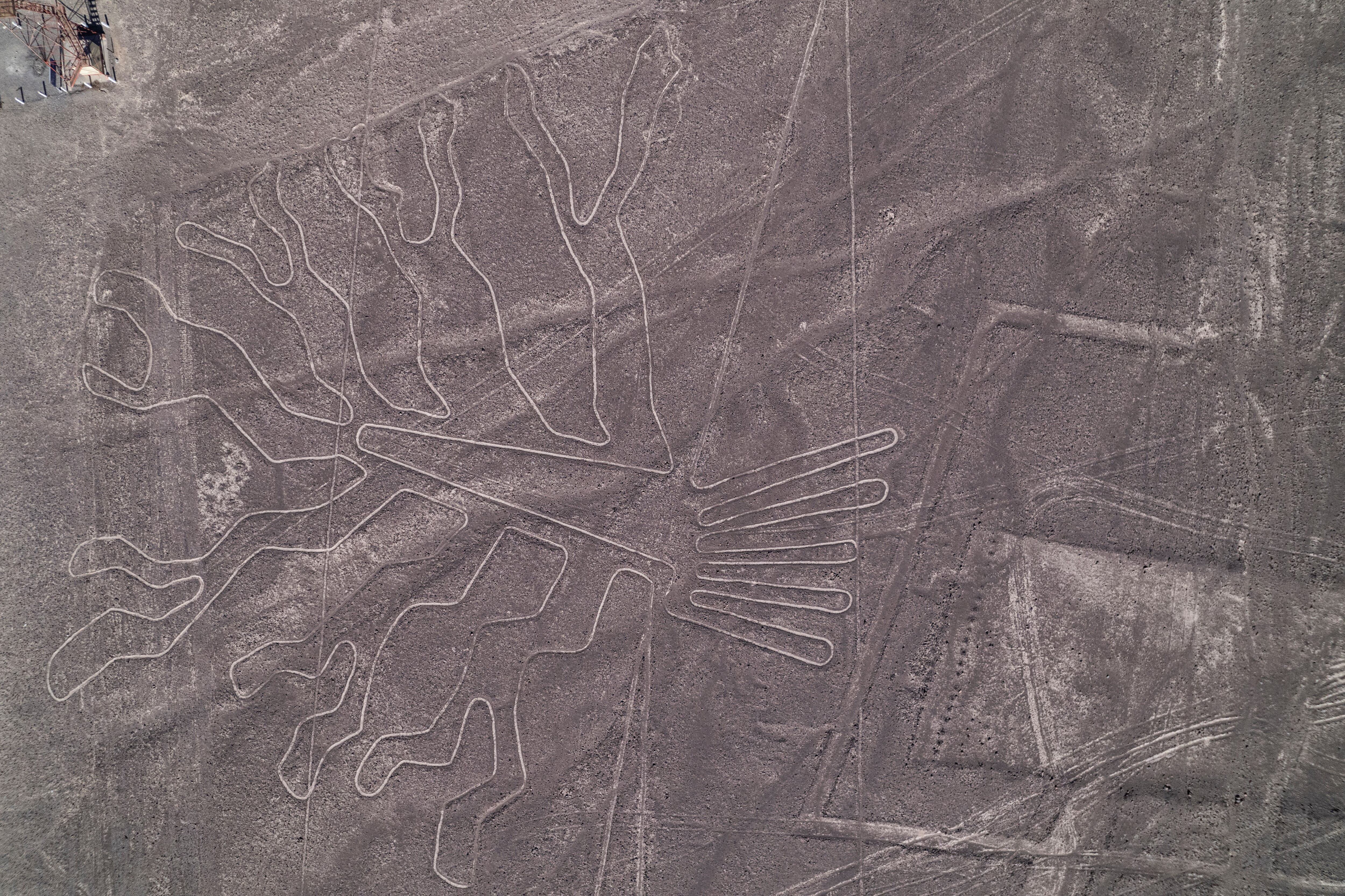 Las Líneas de Nazca desierto de Nazca son impresionantes. Pero más increíbles son las explicaciones que andan dando vuelta sobre su origen: van desde un enorme calendario astronómico a una pista de aterrizaje para alienígenas
(Grosbygroup)