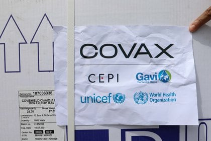 Vacunas del mecanismo Covax (REUTERS/Feisal Omar)