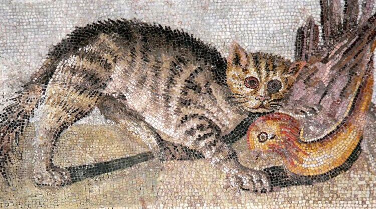 Gato sosteniendo una perdiz, mosaico romano, Museo Nacional de Arqueología, Casa del Fauno, Pompeya, Nápoles