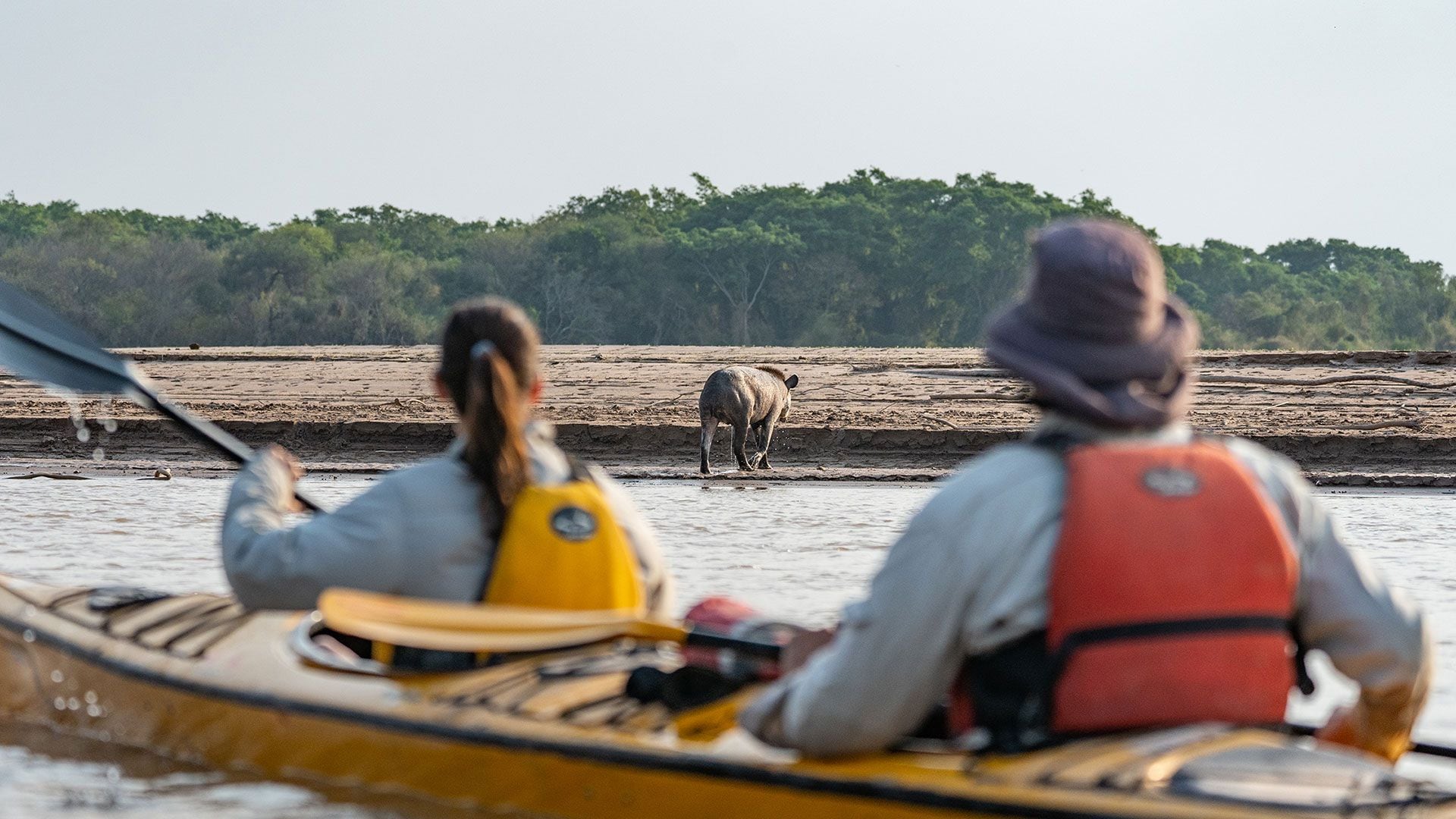 FONDATION ARGENTINE REWILDING