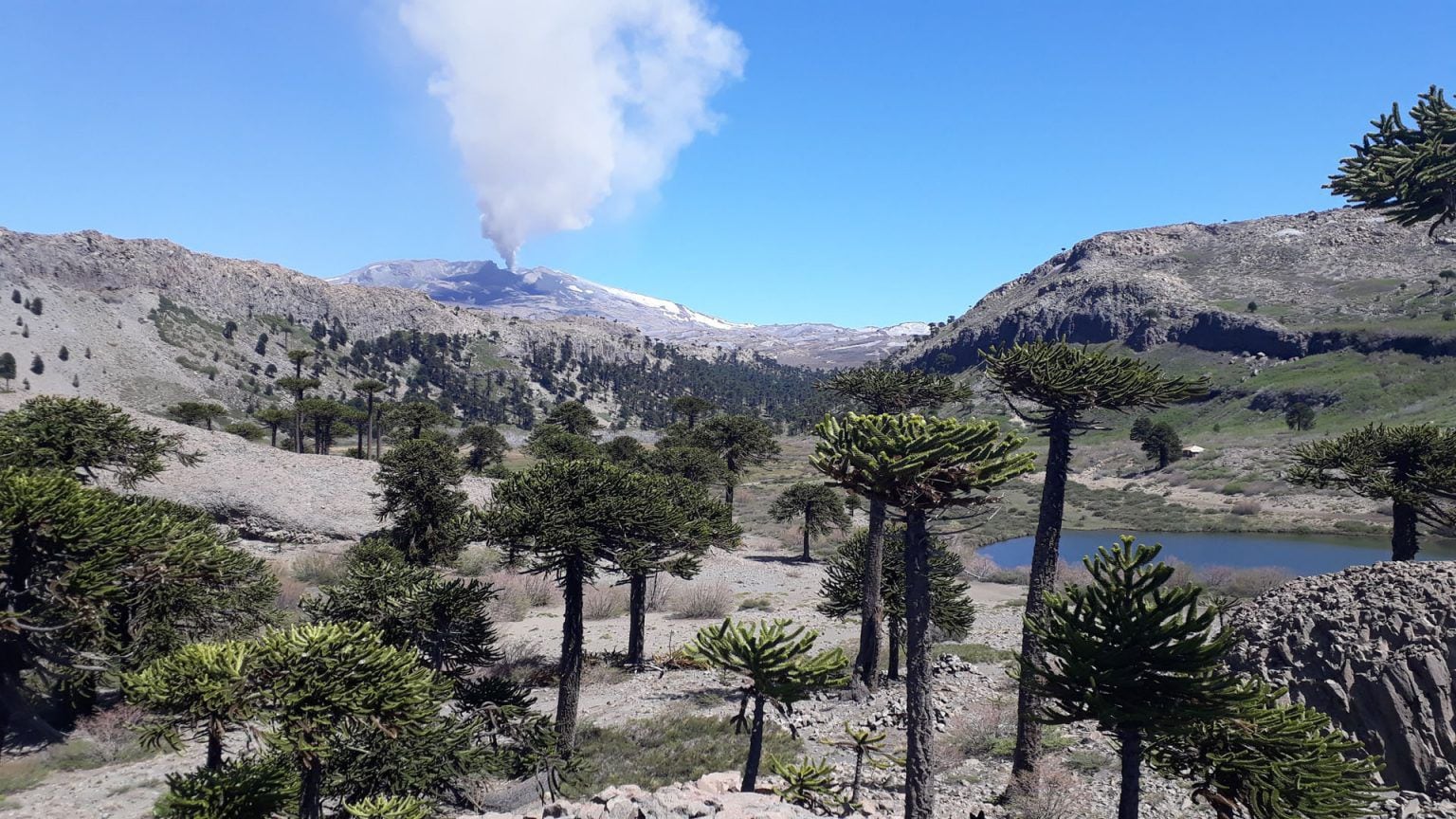 Volcán de Copahue, Neuquén.