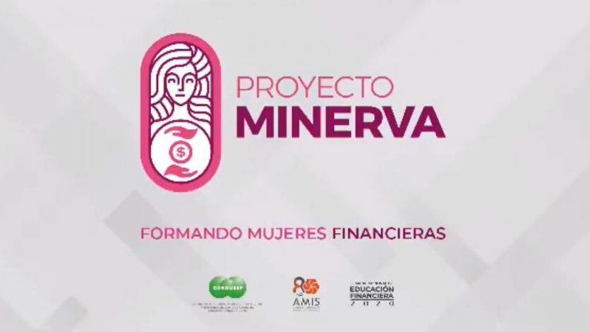 Proyecto Minerva