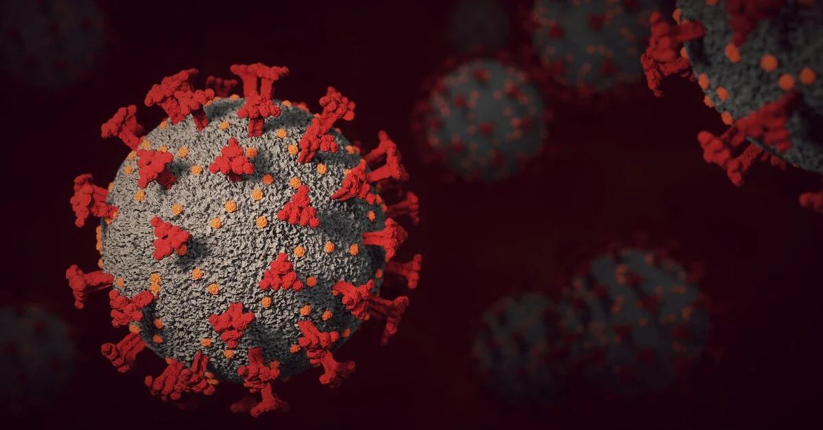 La Suisse fait partie des pays qui voient le début de la fin de l’épidémie dans la variante Omigron.