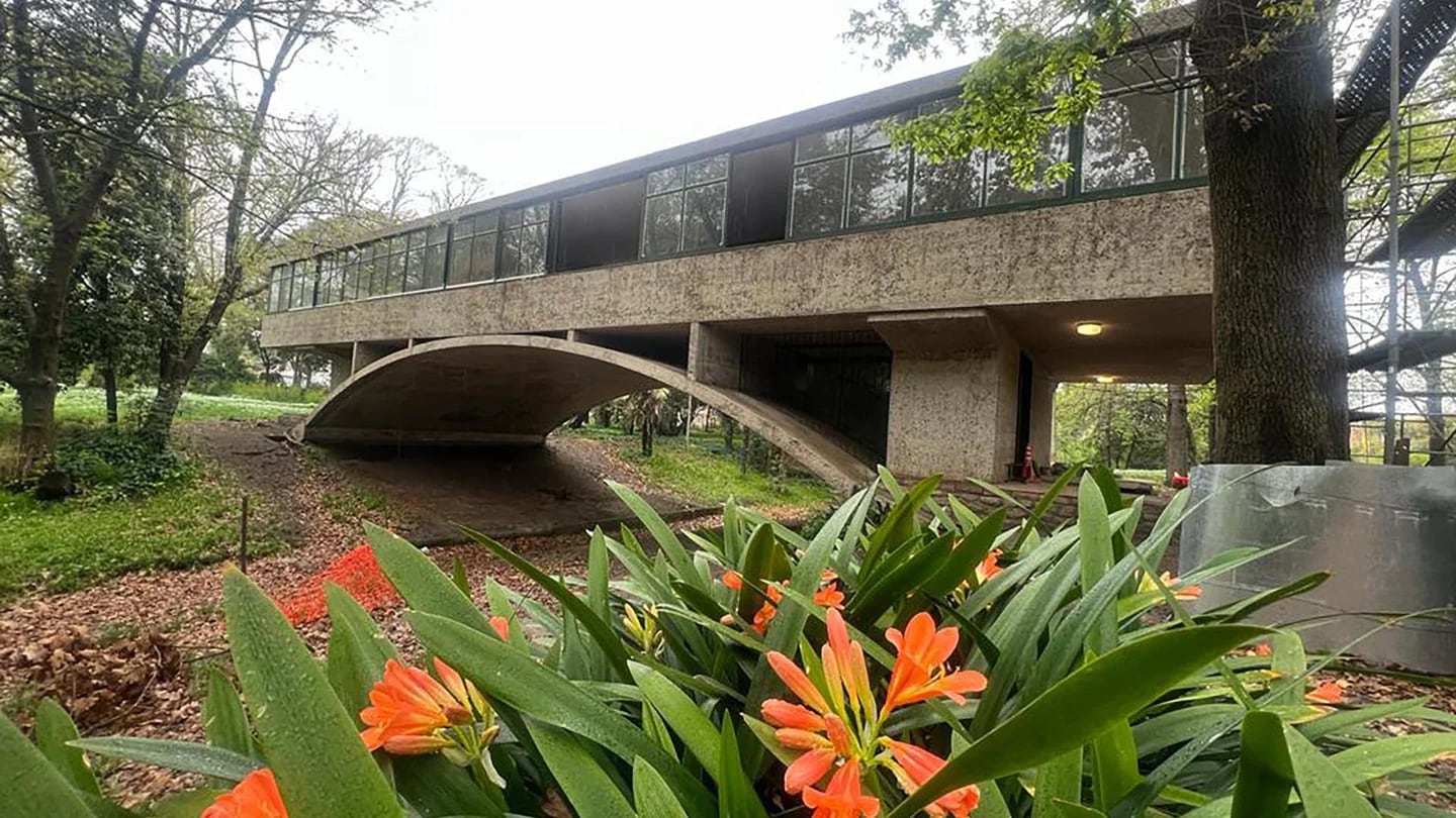 Bienvenidos: Mi Casa Es Su Casa — Zocalo Casa + Jardin