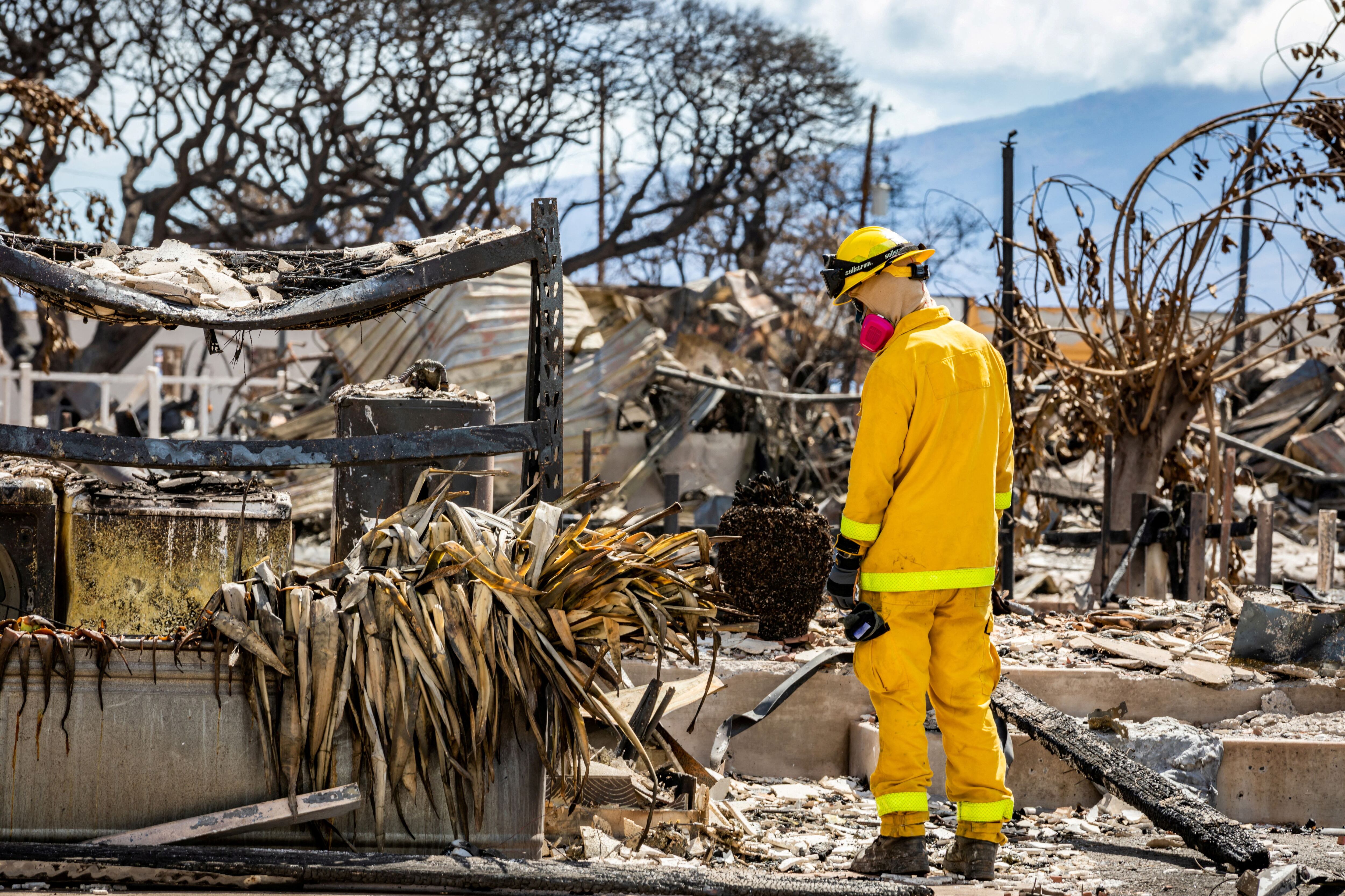 El gobierno federal desplegó tareas conjuntas con funcionarios del estado de Hawáis para la búsqueda, rescate y recuperación en áreas dañadas por los incendios forestales de Maui en Lahaina, Hawái. FOTO: Guardia Nacional del Ejército de EEUU.  Matthew A. Foster/vía REUTERS