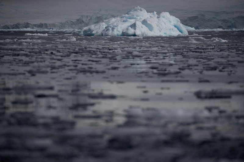 Los científicos advierten que los efectos de las olas de calor marinas incluyen la migración de especies y extinciones, la llegada de especies invasoras con consecuencias para la pesca y la acuicultura (REUTERS/Ueslei Marcelino)