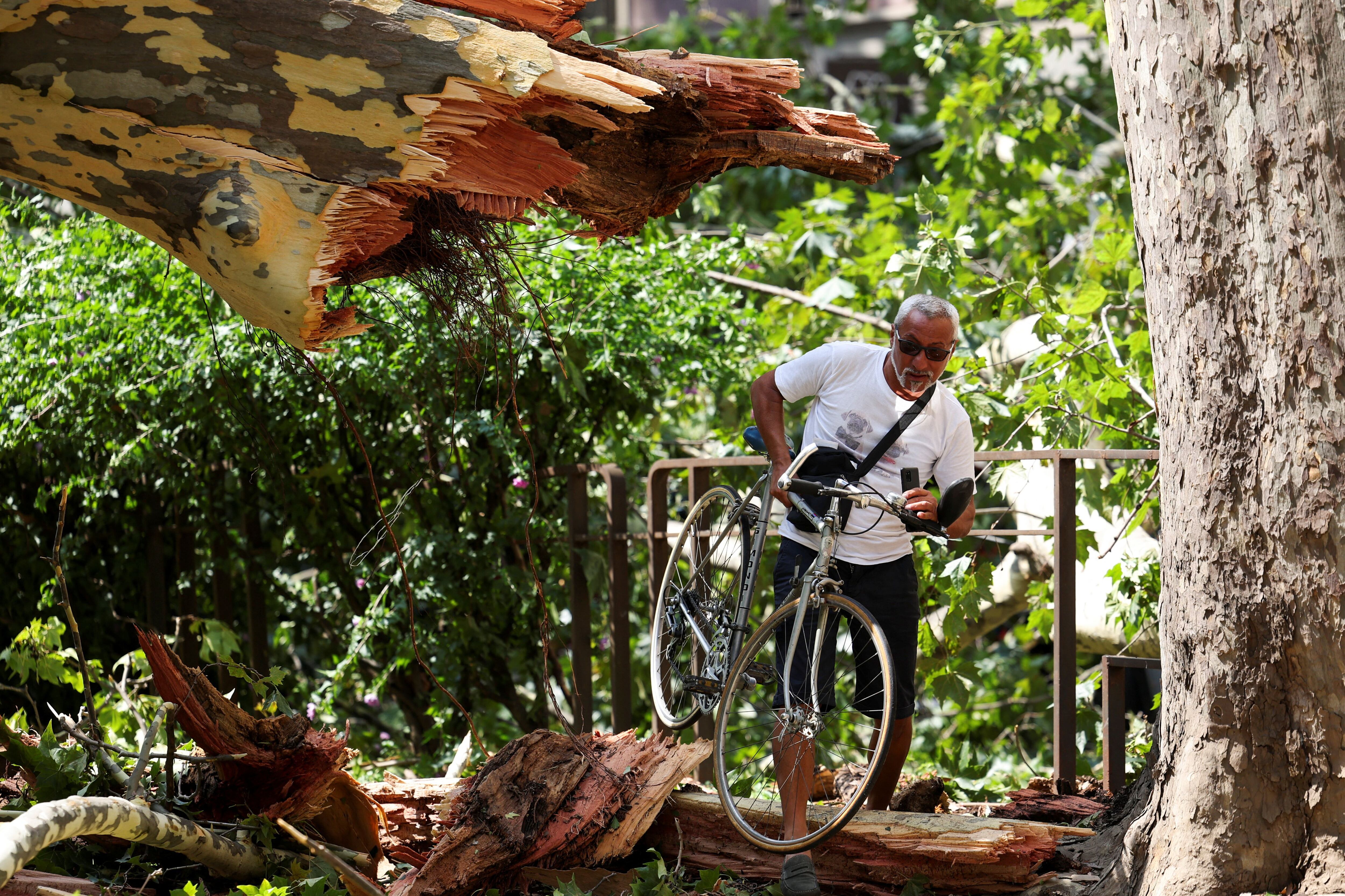 Un uomo in bicicletta tra gli alberi caduti a Milano (REUTERS/Claudia Greco)