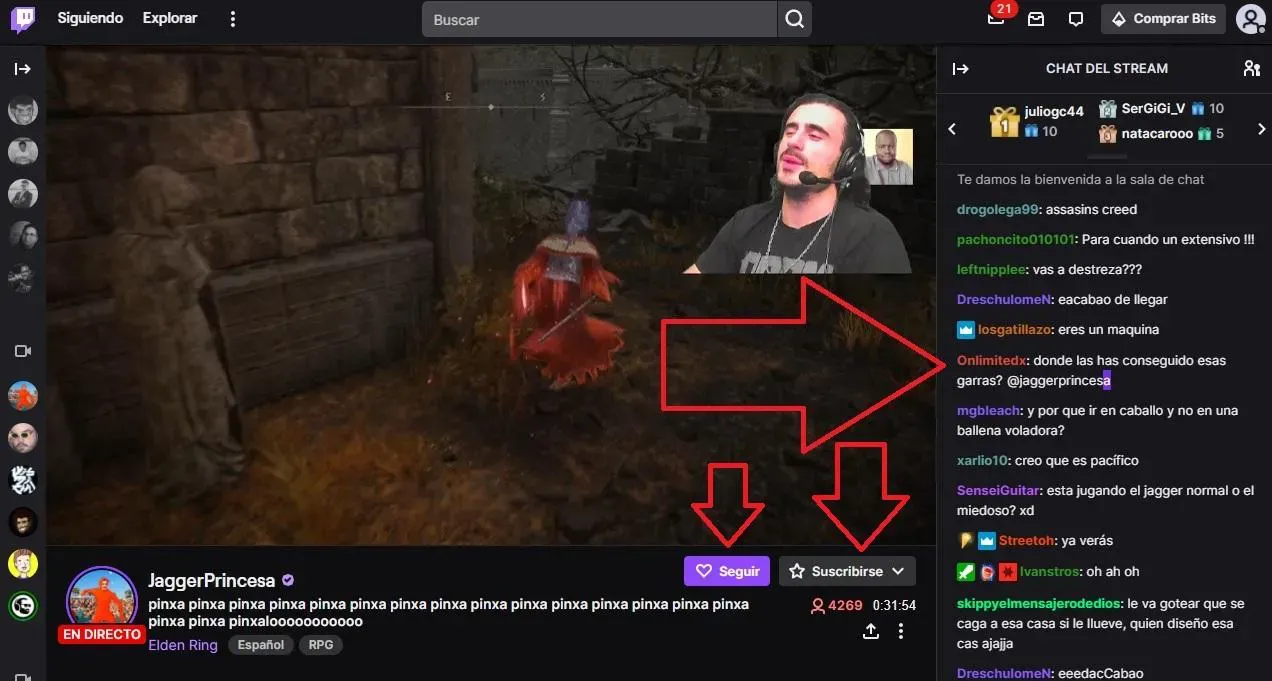 Qué es un streamer? Guía básica de la última tendencia en