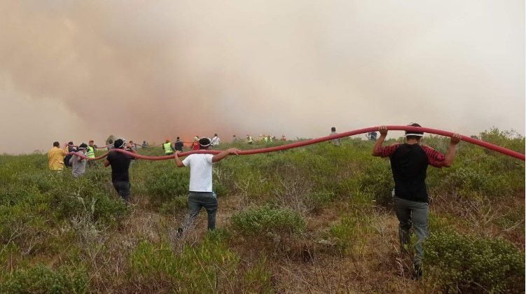 Los incendios forestales han afectado a varias regiones del país, como Loreto y  Áncash  - crédito Ministerio de Defensa