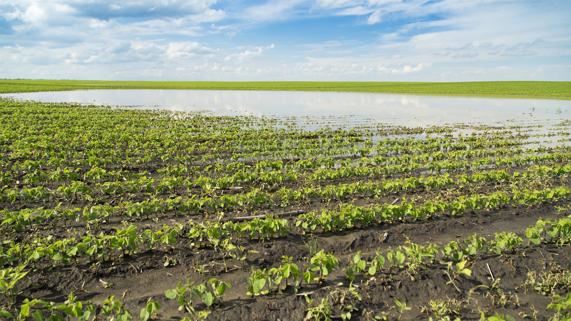 Un estudio publicado en la revista Science demostró que hubo un aumento de las inundaciones asociado a la expansión de la agricultura en la Argentina y parte de Paraguay durante los últimos 20 años (Getty)