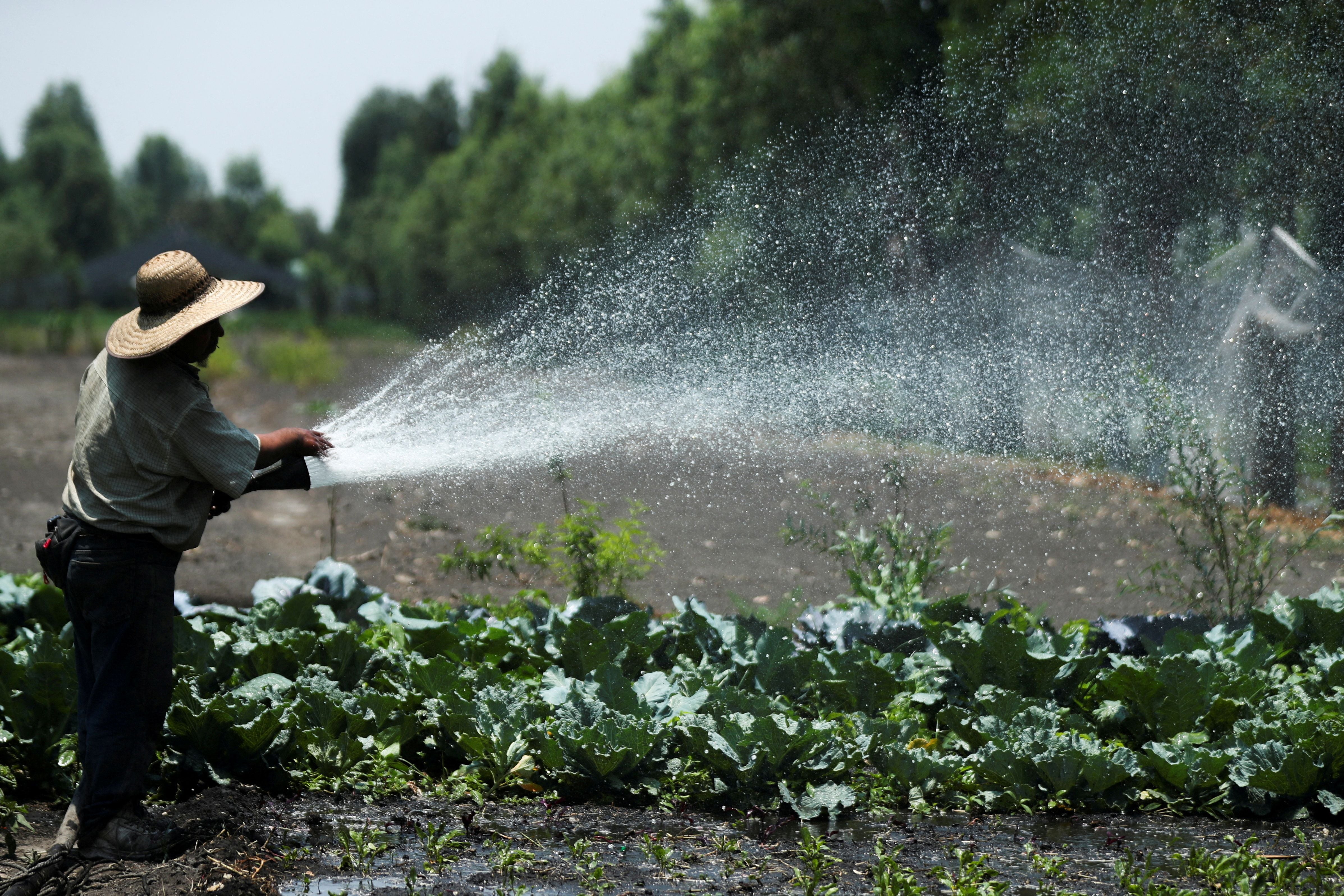 ¿Xochimilco se está evaporando? Así están quedando sus canales con la crisis de agua y el calor