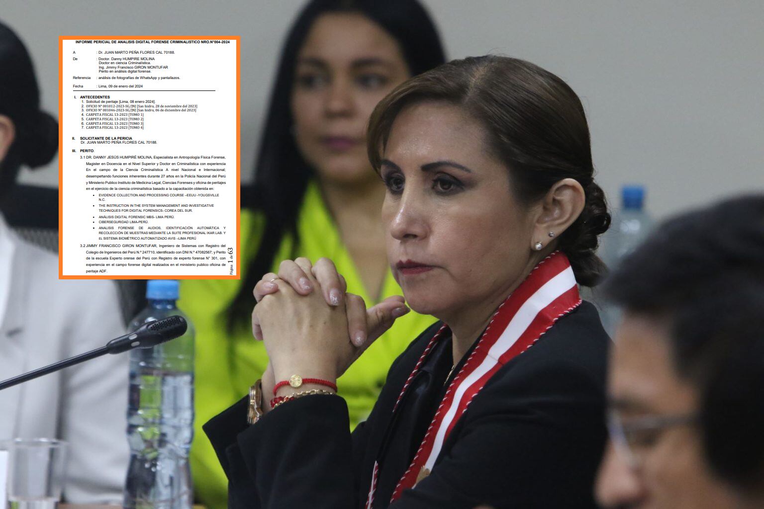 Informe pericial presentado por la exfiscal de la Nación, Patricia Benavides, ante la JNJ.