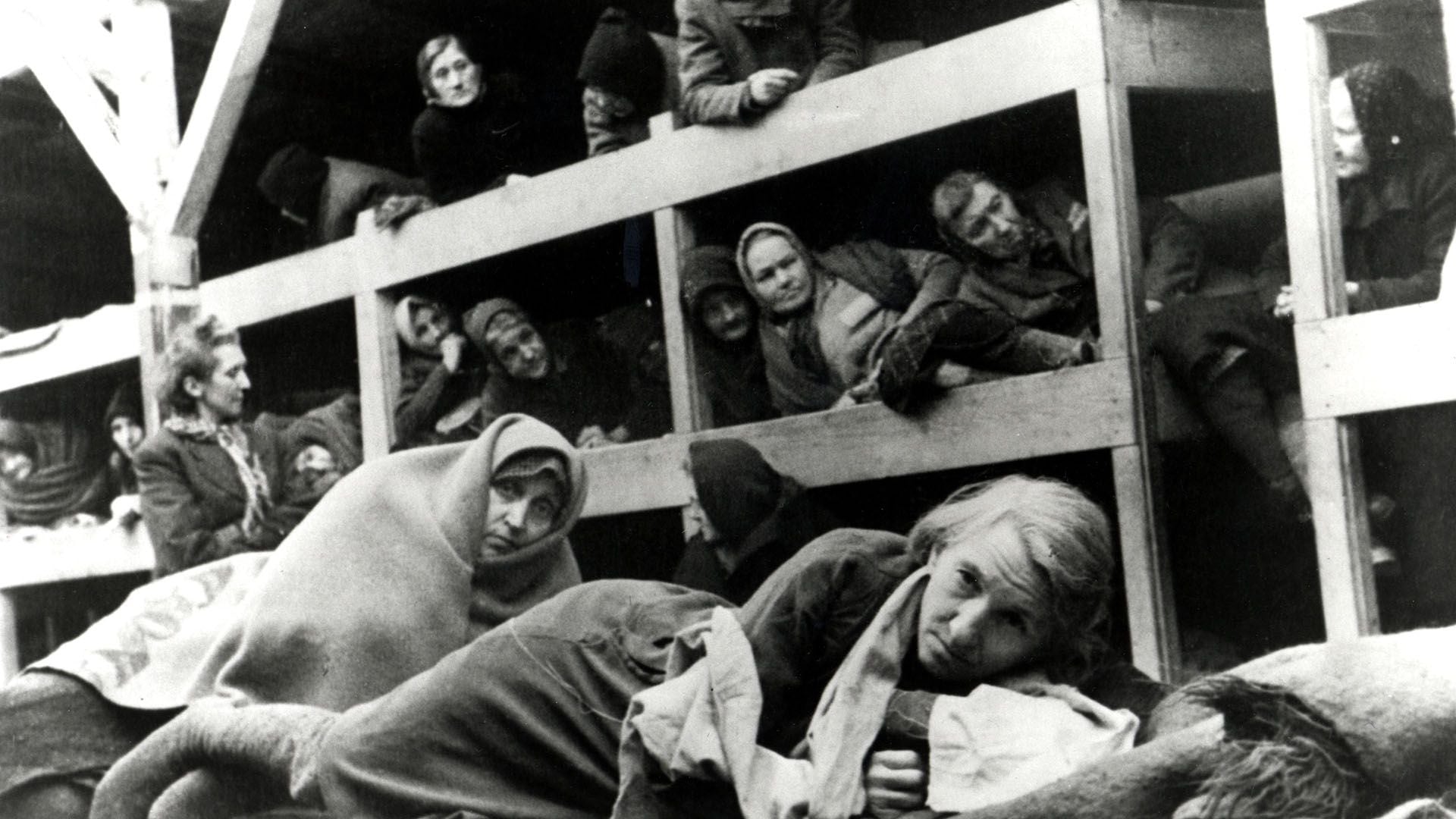 Mujeres en el cuartel de Auschwitz, Polonia, enero de 1945. Foto tomada por un fotógrafo ruso poco después de la liberación del campo  (Photo by Galerie Bilderwelt/Getty Images)