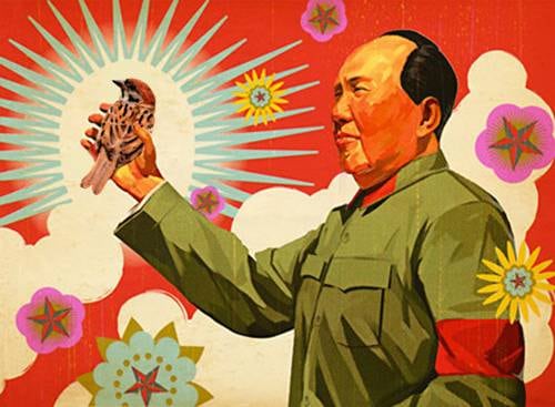 Dentro de la "Campaña de las Cuatro Plagas", Mao declaró a los gorriones como "enemigos de la revolución"