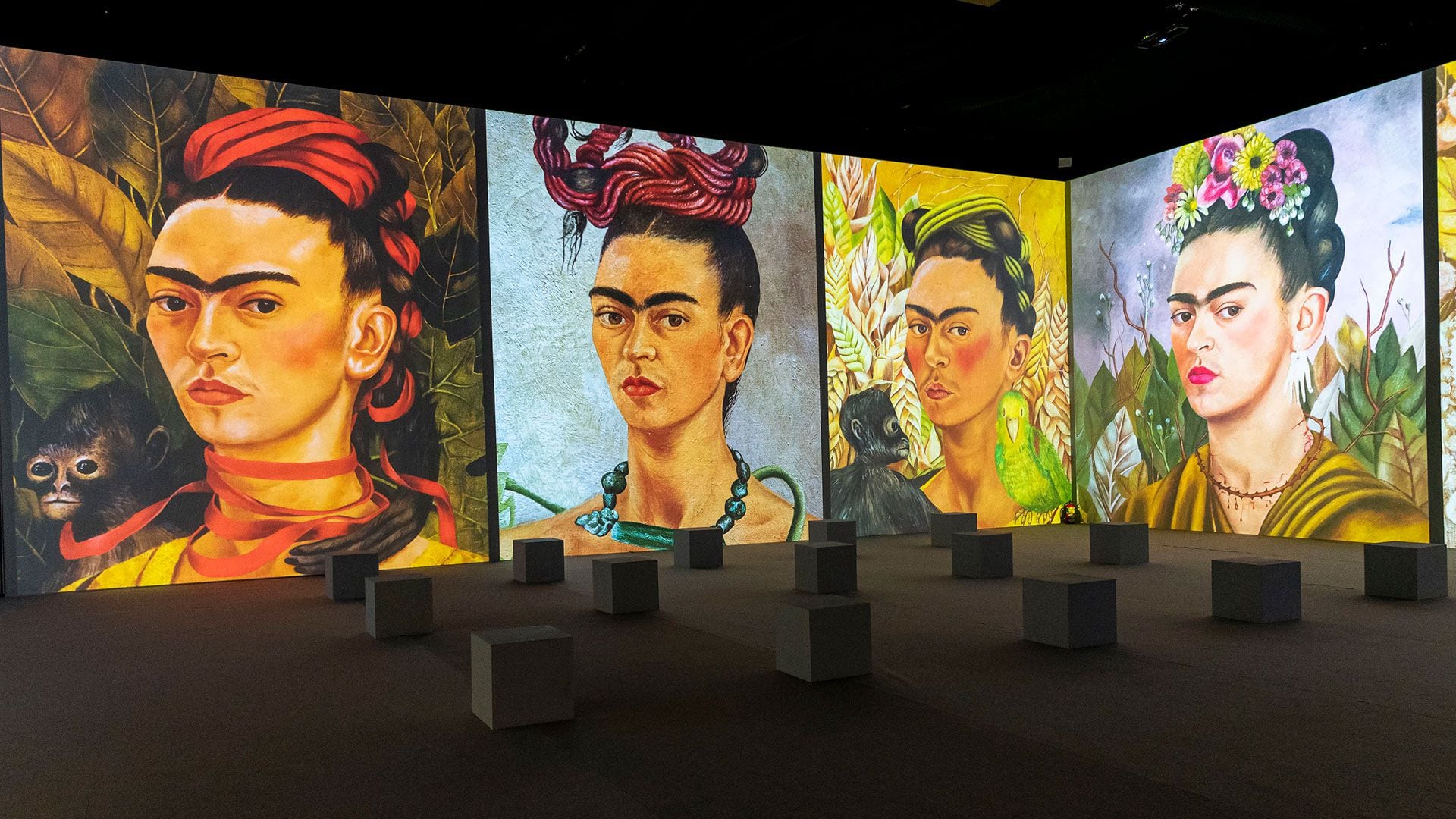 La Vida Y Obra De Frida Kahlo En Una Experiencia Inmersiva Y Multisensorial Infobae