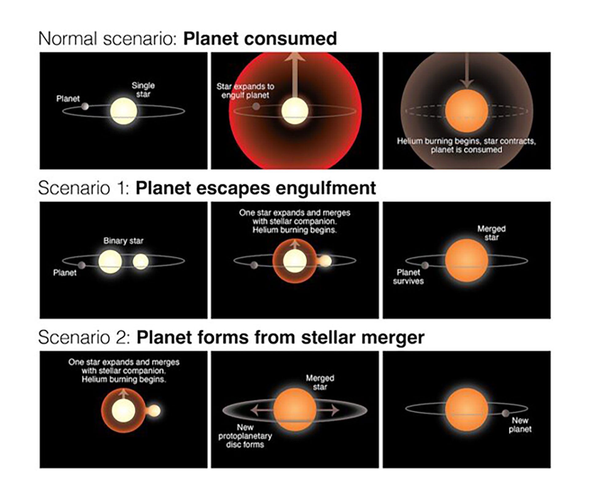 Los científicos elaboraron una imagen con los posibles escenarios de la supervivencia del planeta (Revista Nature)