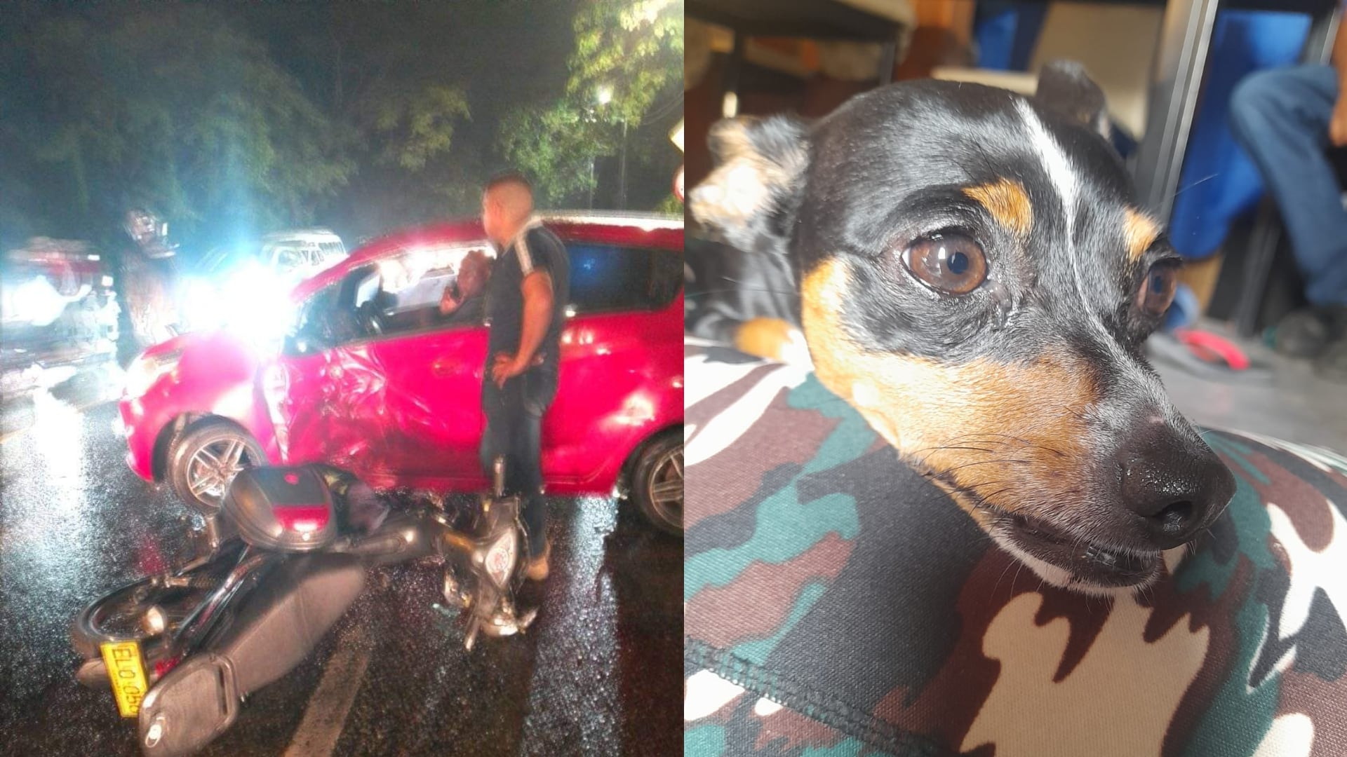 “Milagros” busca a su dueño: la mascota viajaba con el motociclista que se accidentó en la vía Panamericana en Jamundí