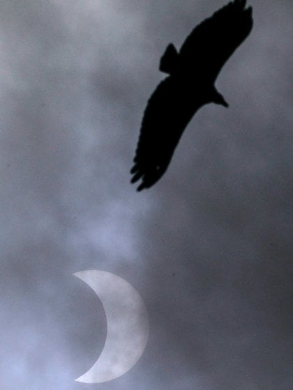 Eclipse parcial observado en Porto Alegre, Brasil - REUTERS/Diego Vara