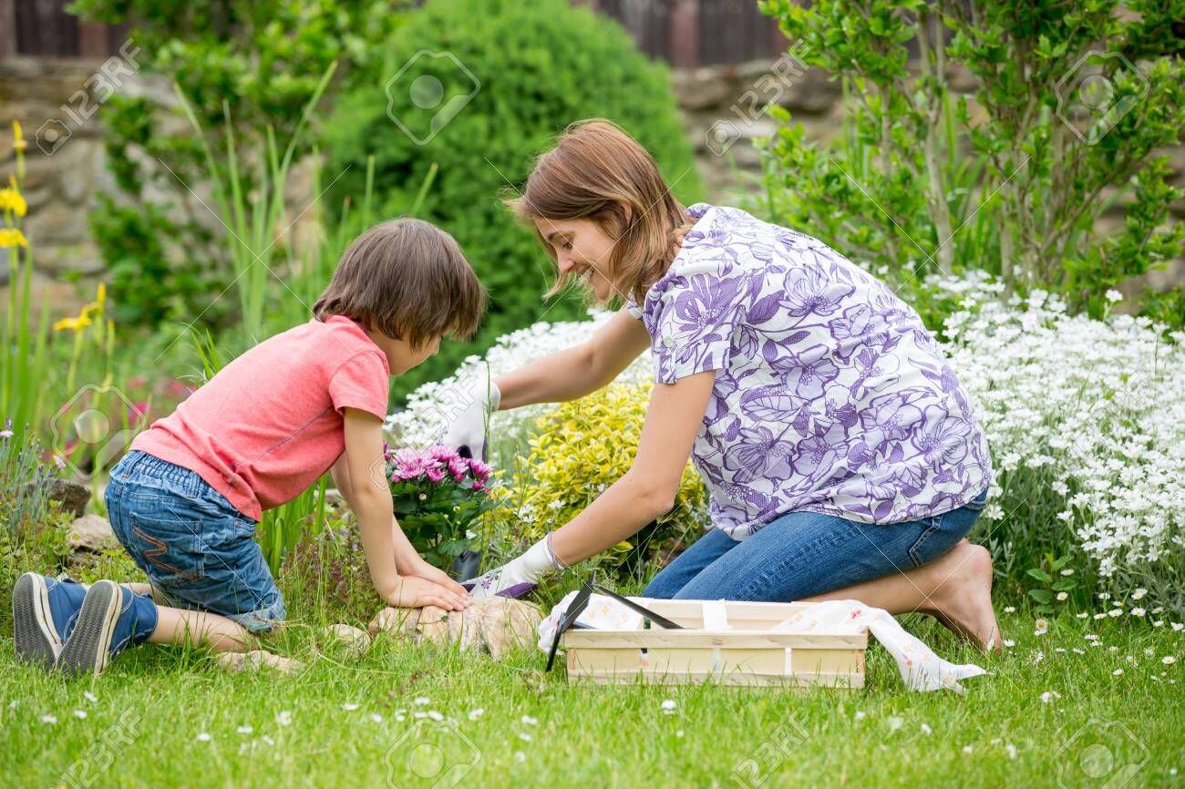 Desde cursos de jardinería hasta talleres de artesanía, estas ideas de regalos están diseñadas para mamás que merecen un reconocimiento especial en su día.
Foto: Tatyana Tomsickova