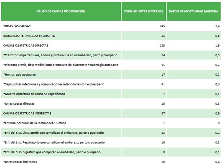 MUERTES MATERNAS Y TASA DE MORTALIDAD MATERNA SEGUN GRUPO DE CAUSAS DE MUERTE – AÑO 2016 – FUENTE: DEIS