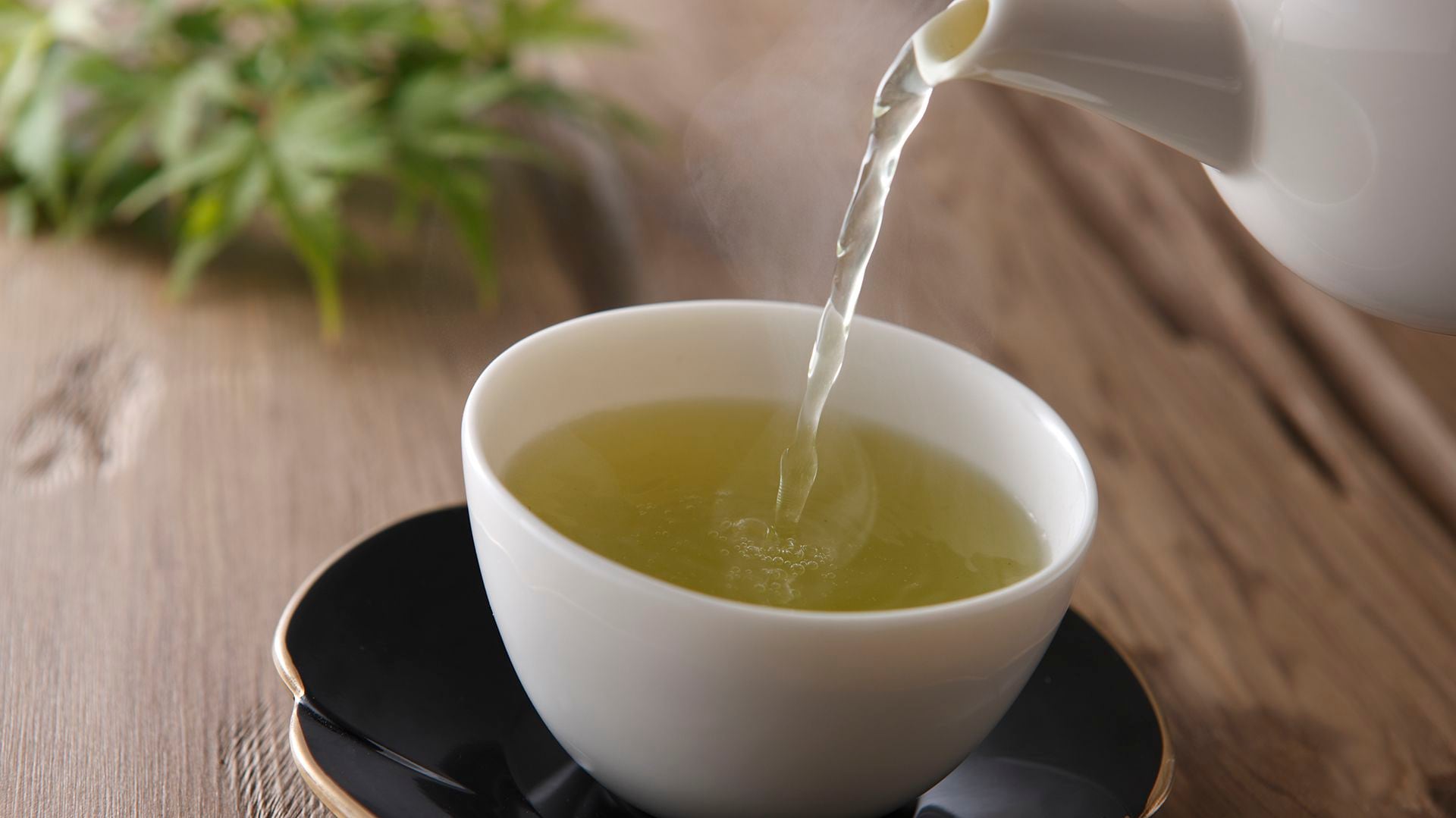 El té verde, preferido por Bullock sobre el café, aporta beneficios como la aceleración del metabolismo y propiedades antioxidantes que favorecen la salud general (Getty Images)