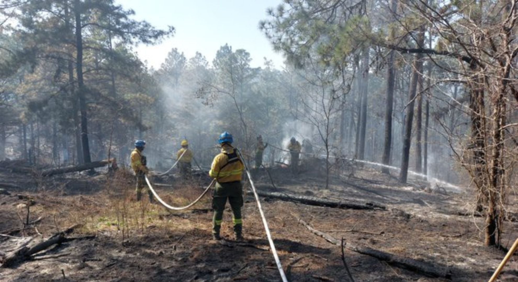 Hasta el momento, hubo 10 detenidos vinculados a los incendios forestales en la provincia (Gobierno de Córdoba)