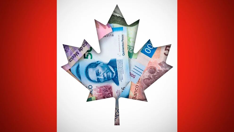 Tipo de cambio dólar canadiense peso mexicano de hoy 8 de agosto Infobae