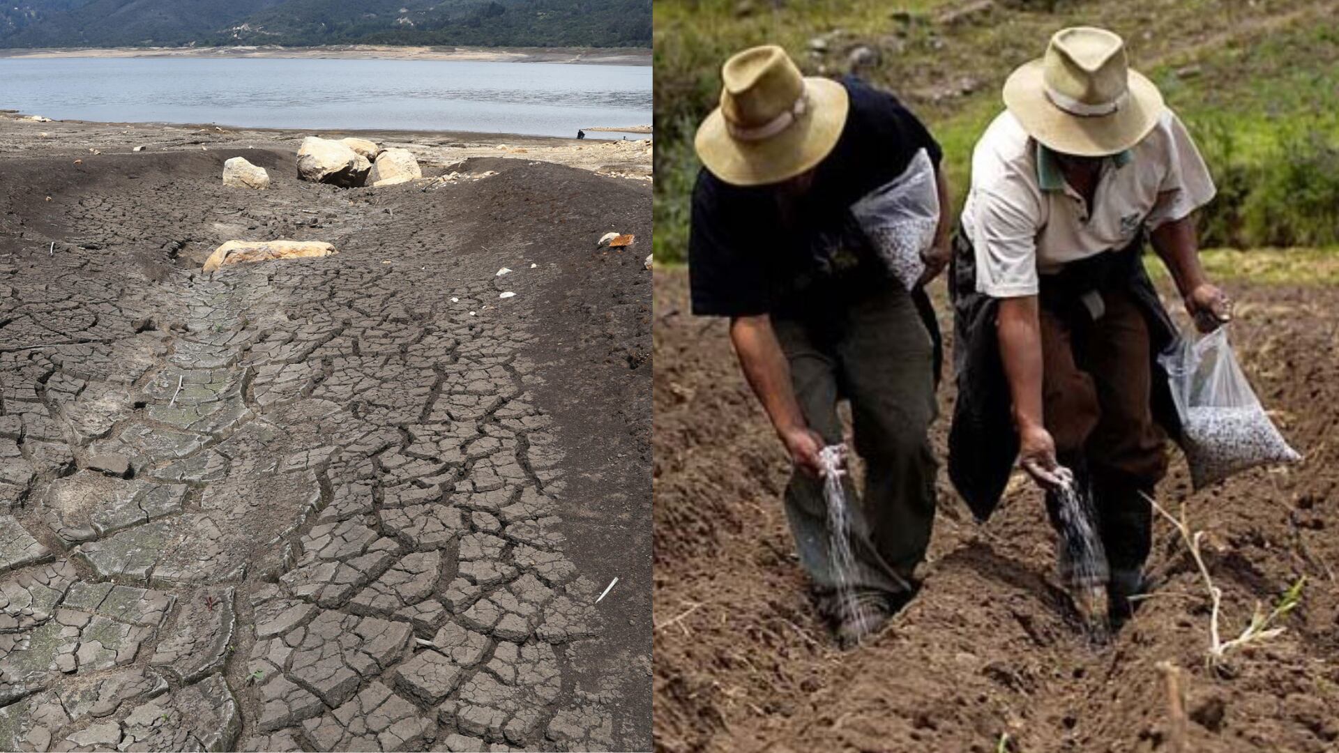 La escasez de lluvias en Colombia y Ecuador debido al fenómeno climático de El Niño está generando preocupaciones por una potencial crisis del agua en la región, impactando la disponibilidad de recursos hídricos, la producción agrícola y energética. (Composición: Infobae / Andina)