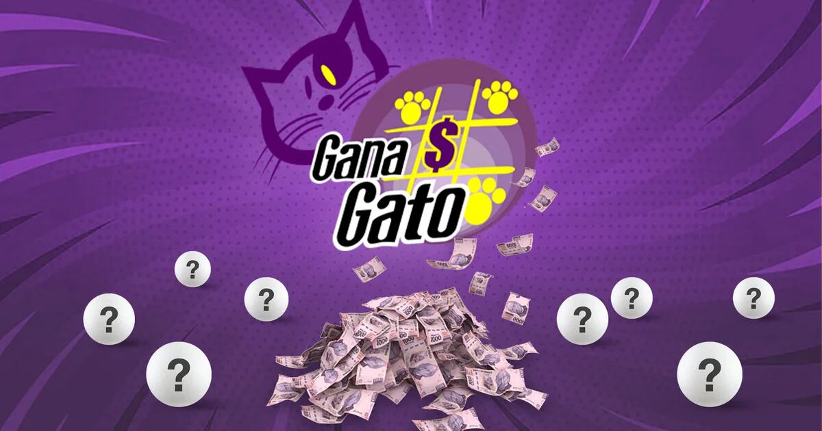Lotería Nacional Dónde Ver El Gana Gato En Vivo Y La Lista De Resultados Infobae