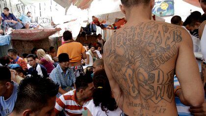 Las cárceles fueron el lugar donde la MS13 creció y se expandió en su actuar criminal, sirviendo de aliado de la Mafia Mexicana conocida como "La M". AP