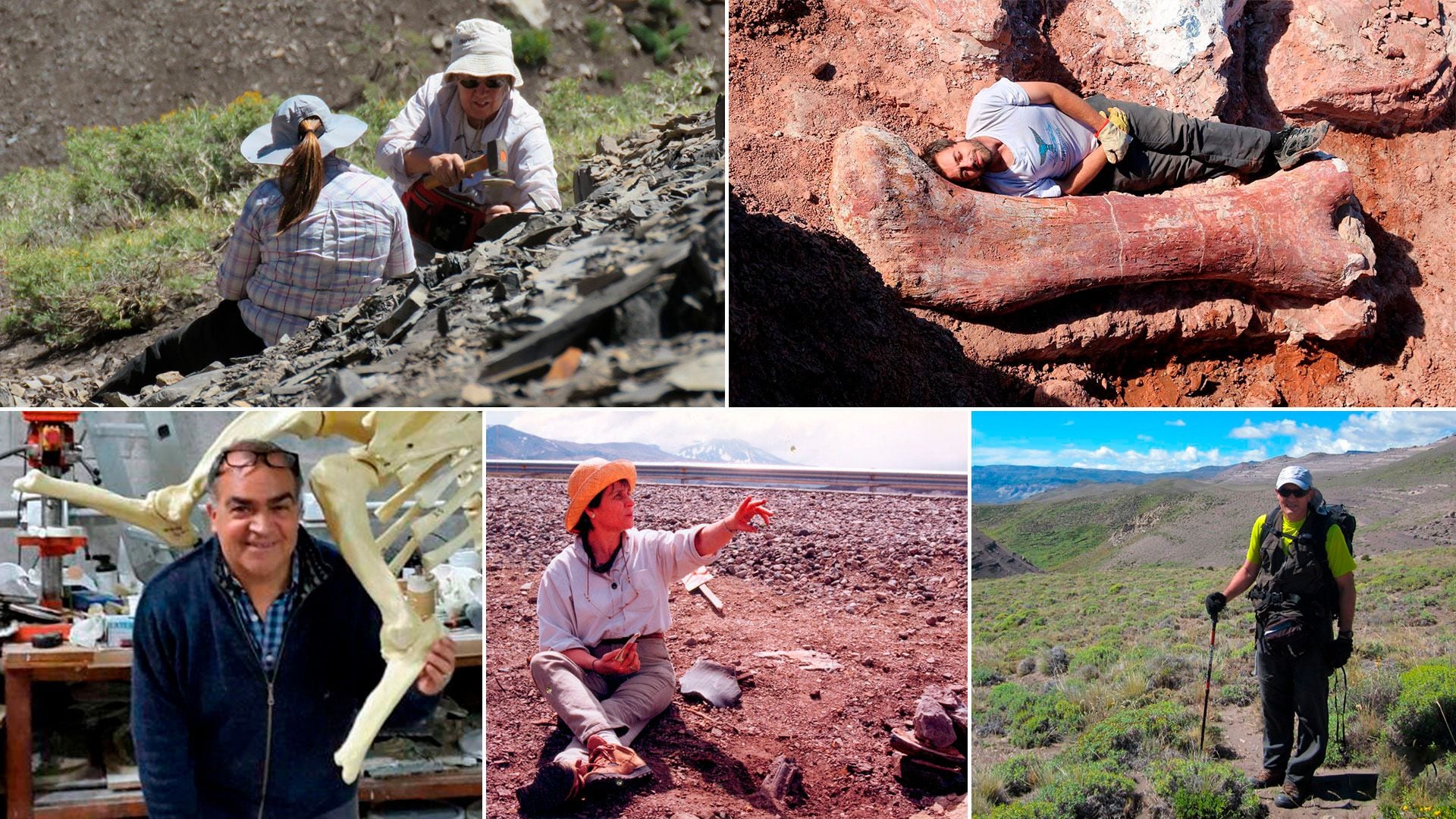 Aguirre-Urrieta, Pol, Novas, Brandoni de Gasparini y Vizcaíno, en el trabajo con fósiles