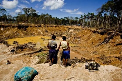noticiaspuertosantacruz.com.ar - Imagen extraida de: https://www.infobae.com/peru/2024/03/14/congreso-aprueba-proyecto-de-ley-que-favorece-mineria-ilegal/