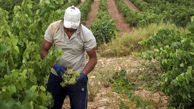 Los funcionarios locales aseguraron que, el primer día, sólo recibieron tres solicitudes de trabajo 