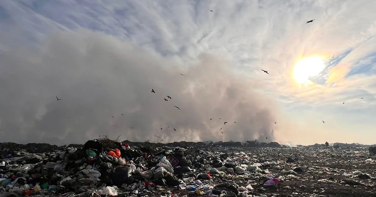 Basural de Luján: la Municipalidad sigue vertiendo residuos y contaminando  el lugar a pesar de una orden judicial - Infobae