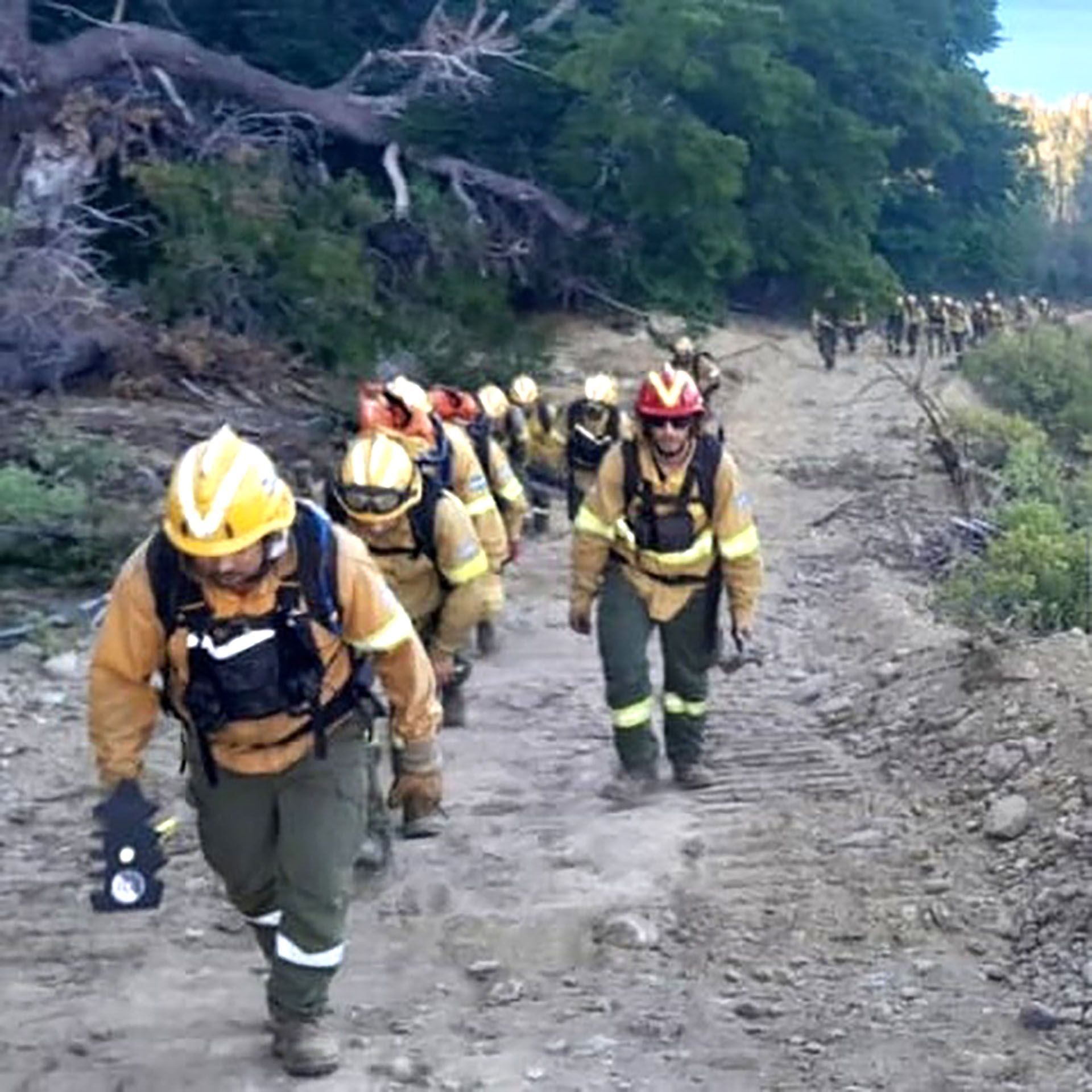 El incendio en el Parque Nacional Los Alerces ya consumió más de 3.500 hectáreas de bosque