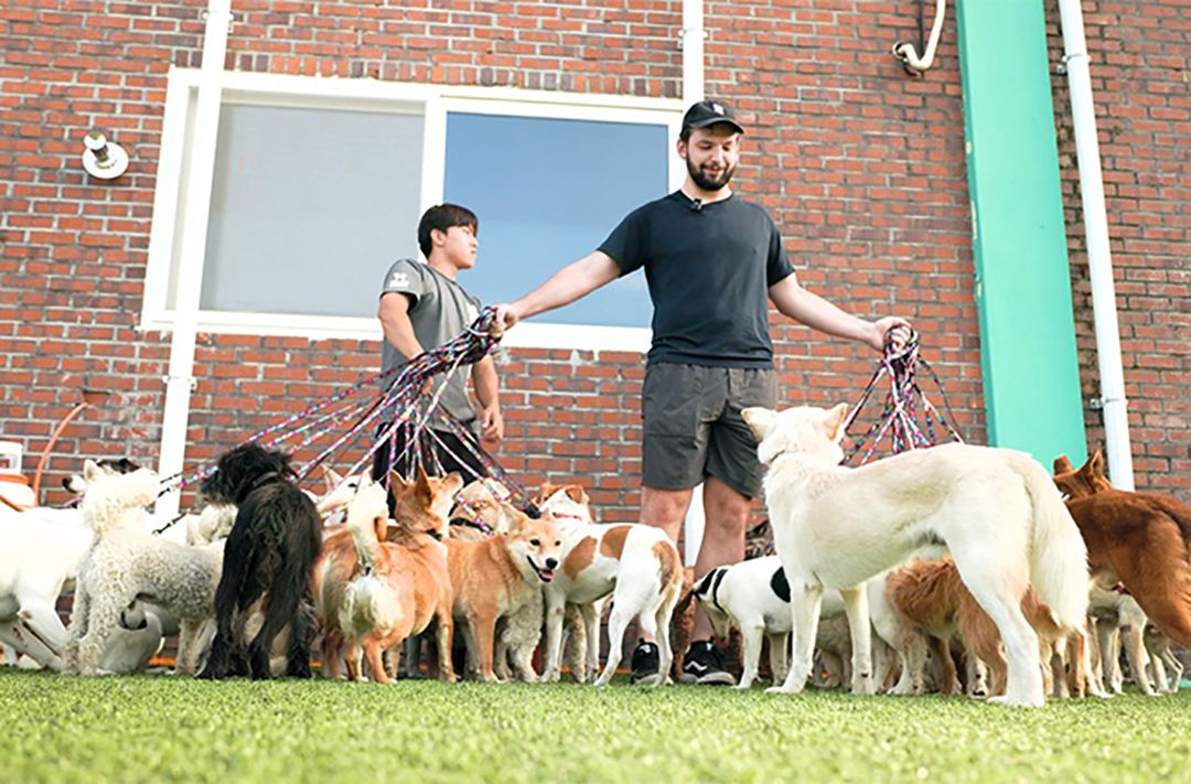 Rudy supera el récord de 2018 al caminar 1,04 km con todos los perros atados en cumplimiento de las reglas de Guinness (Guinness World Records)