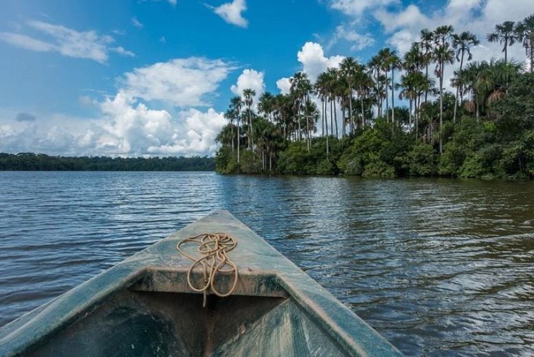 Animales de la Reserva Nacional de Tambopata. (Foto: Captura)